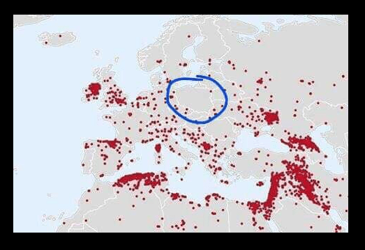 PolonioforadoTerrorismoIslamico - Copia